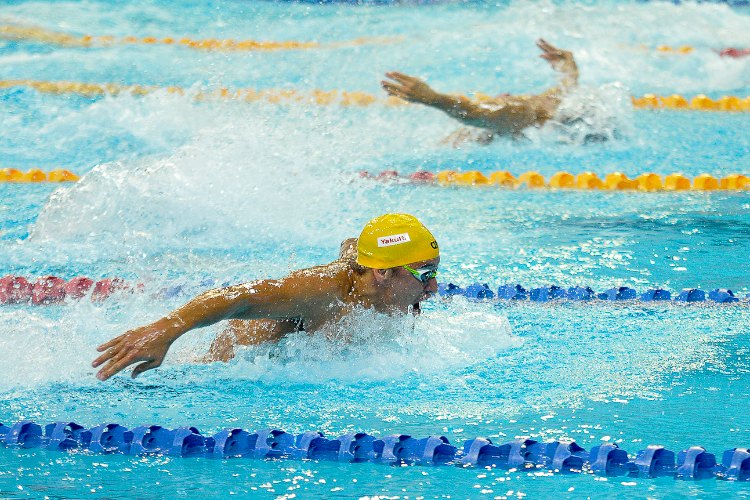 chad le clos swimming world cup