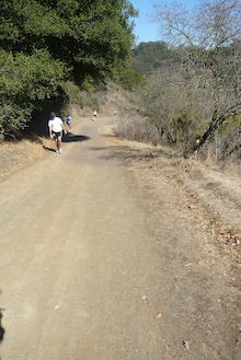 Golden Hills Trail Marathon