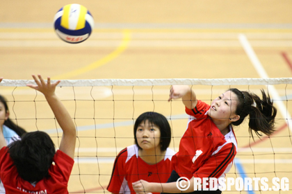 volleyball-shuqun-hua-y