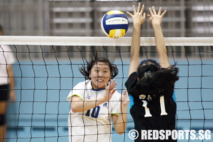 volleyball-cedar-xinmin