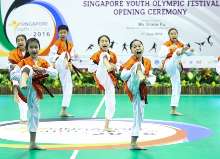 Performance by the Singapore Taekwondo Federation during the Singapore Youth Olympic Festival 2016 Opening Ceremony at Anglican High School on June 17, 2016 in Singapore.