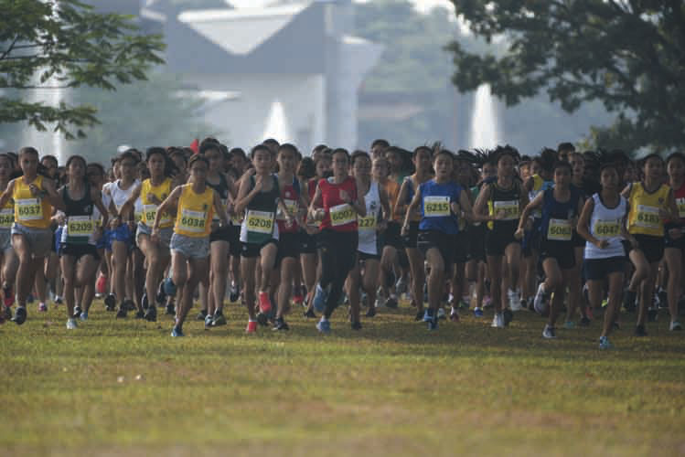 The C Division Girls starting their 2018 National Schools Cross Country race. (Photo © Stefanus Ian/Red Sports)
