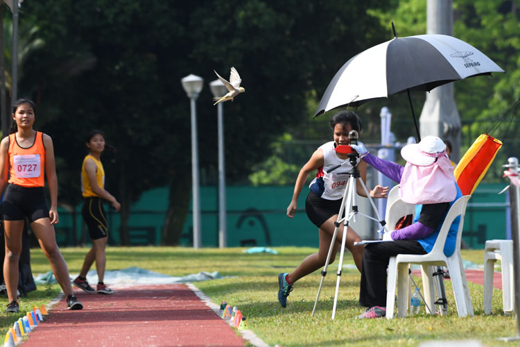 A white bird was seen repeatedly disturbing the long jumpers forcing officials to restart the countdown for some of the participants. (Photo 2 © Stefanus ian/Red Sports)