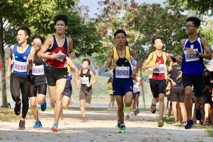 Competitors in the Boys' B Division cross country race. (Photo 1 © Julianna Jothi/Red Sports)
