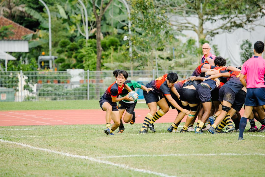 ACJC scrum-half Ryan Tan (#9) winds up for a pass out the back of a scrum. (Photo 17 © Shenn Tan/Red Sports)